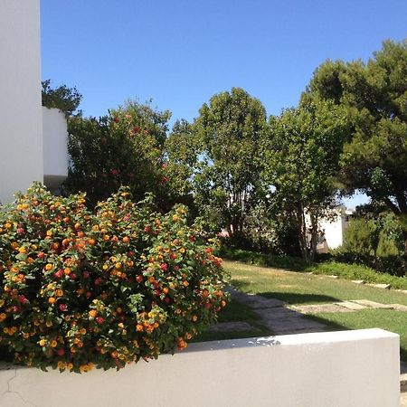 Cheerfulway Alto Do Moinho Apartamentos Albufeira Zewnętrze zdjęcie